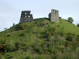 Dryslwyn Castle